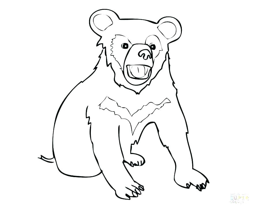 878x721 Black Bear Coloring Pages