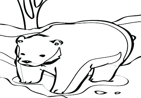 476x333 Black Bear Coloring Pages Black Bear Coloring Page Black Bear
