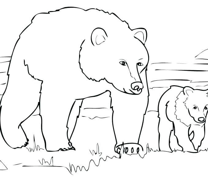 678x600 Coloring Page Of A Bear Grizzly Bear Coloring Pages Bear Coloring