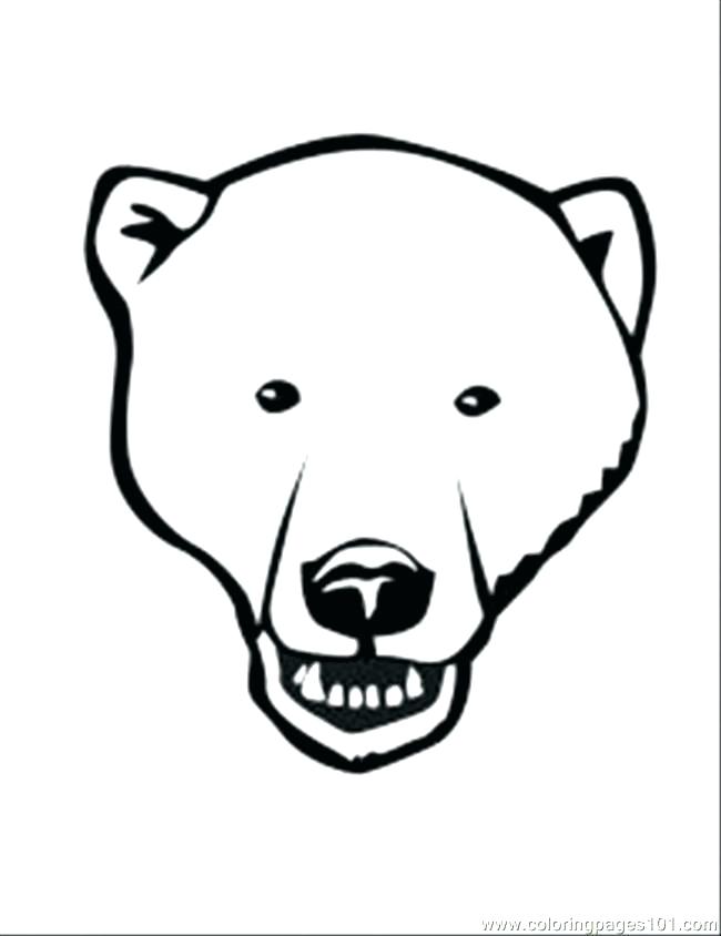 650x844 Polar Bear Coloring Sheet Polar Bear Color Page Polar Bear Face