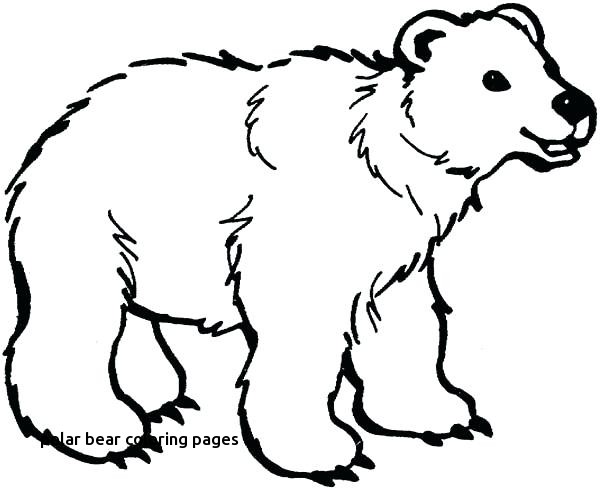 Bear Face Coloring Pages at GetDrawings | Free download