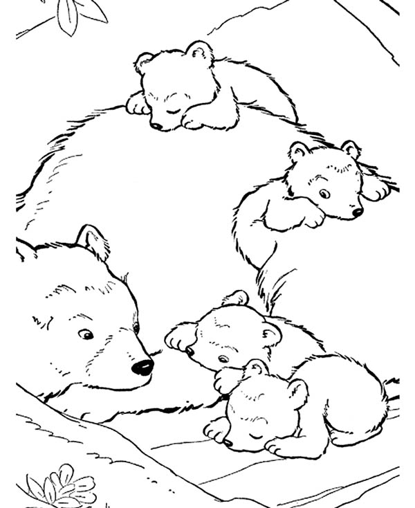 600x734 Bears Coloring Page Free Printable Coloring Pages Forest