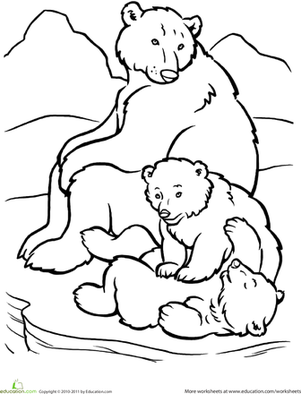 301x394 Polar Bear Family Worksheet
