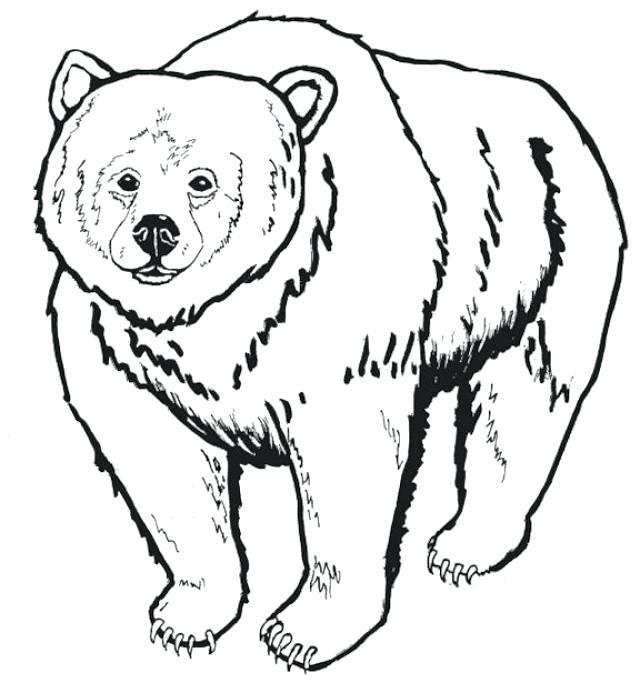 640x683 Bear Family Coloring Pages