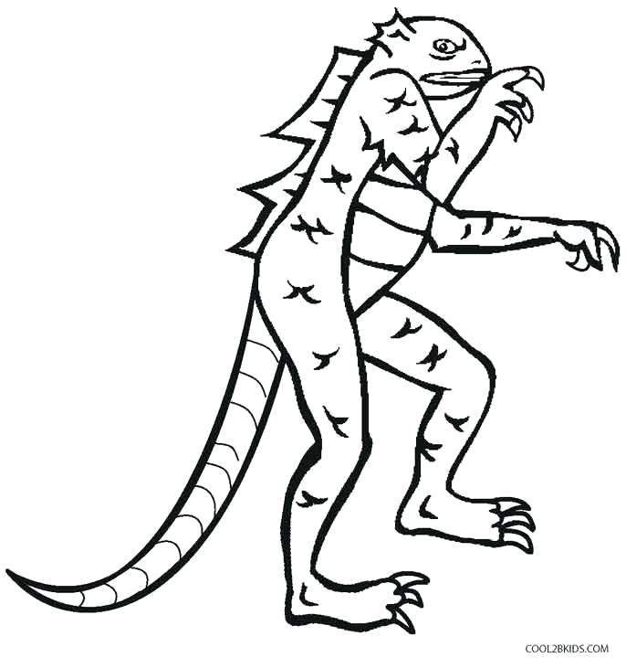 686x731 Bearded Dragon Coloring Pages Lizard Coloring Page Coloring Pages