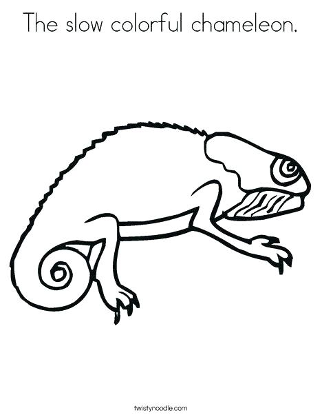 468x605 Bearded Dragon Coloring Pages Chameleon Coloring Pictures Bearded