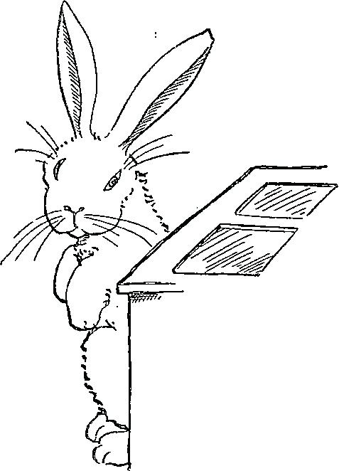 477x662 Beatrix Potter Peter Rabbit Coloring Pages Peter Rabbit Coloring