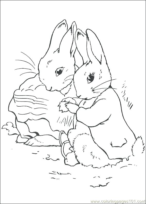 567x794 Best Potter Colouring In Pictures Images On Peter Rabbit Printable