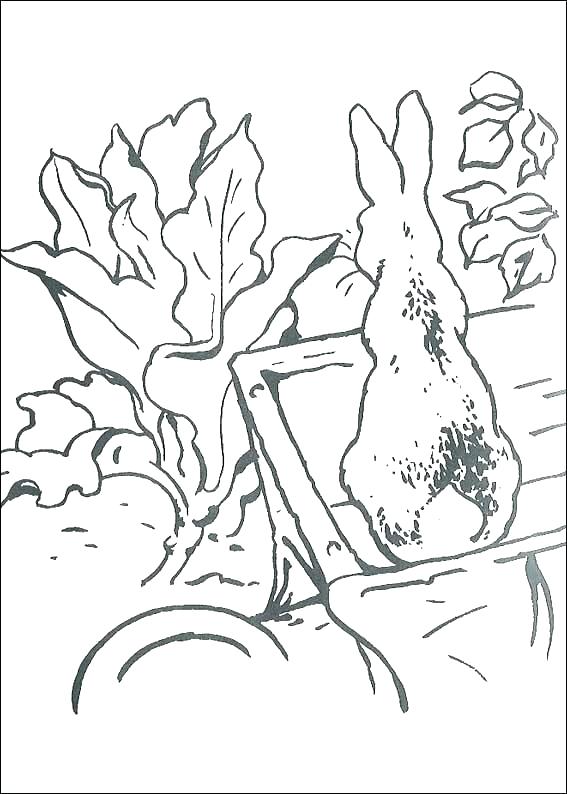 567x794 Peter Rabbit Coloring Pages Page In Nickelodeon Peter Rabbit