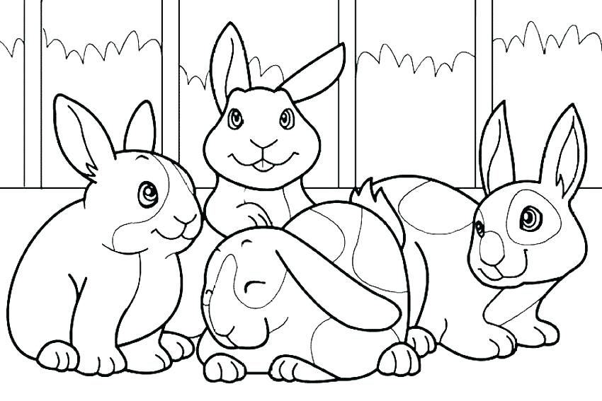850x567 Rabbit Coloring Pages Rabbit Coloring Pages Bunny Coloring Page