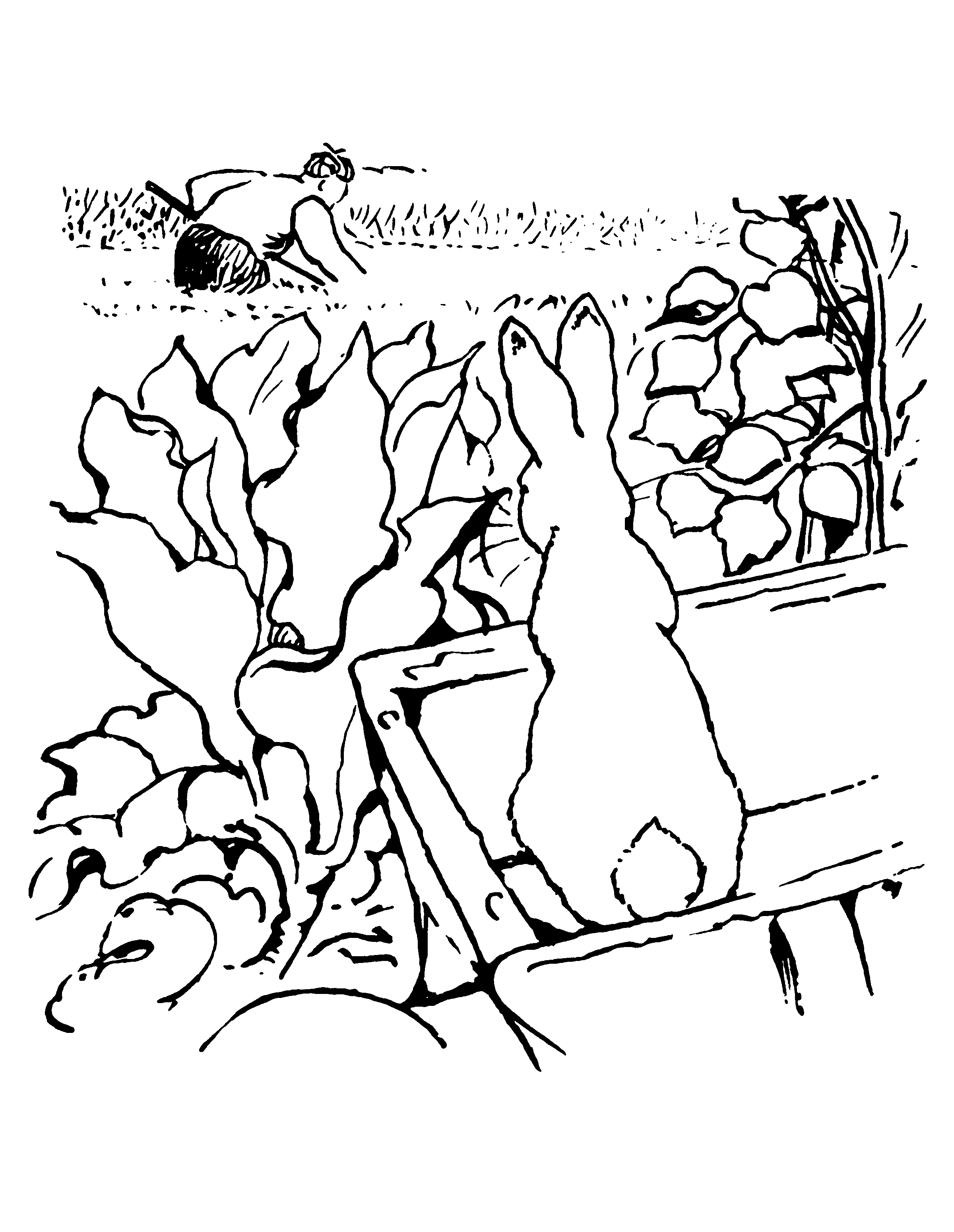 2400x3100 Beatrix Potter Coloring Pages