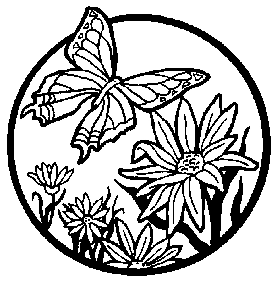 891x931 Coloring Pages Butterfly Beautiful Butterfly Coloring Page Logo
