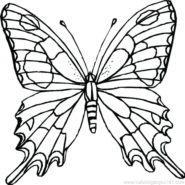 650x651 Beautiful Butterfly Coloring Pages Butterfly Coloring Page