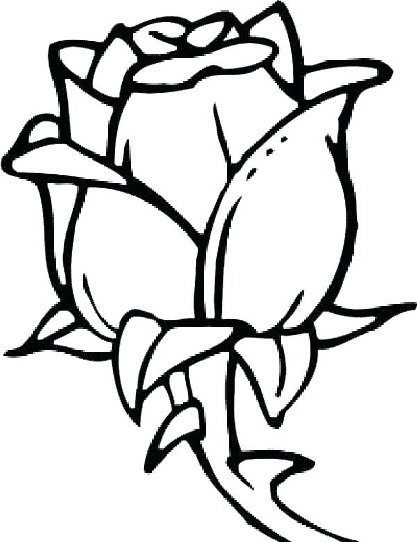 600x780 Coloring Pages Of Flowers Beautiful Flower Coloring Pages Flower