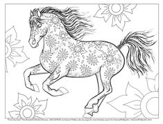 235x180 Horse Coloring Pages For For Free