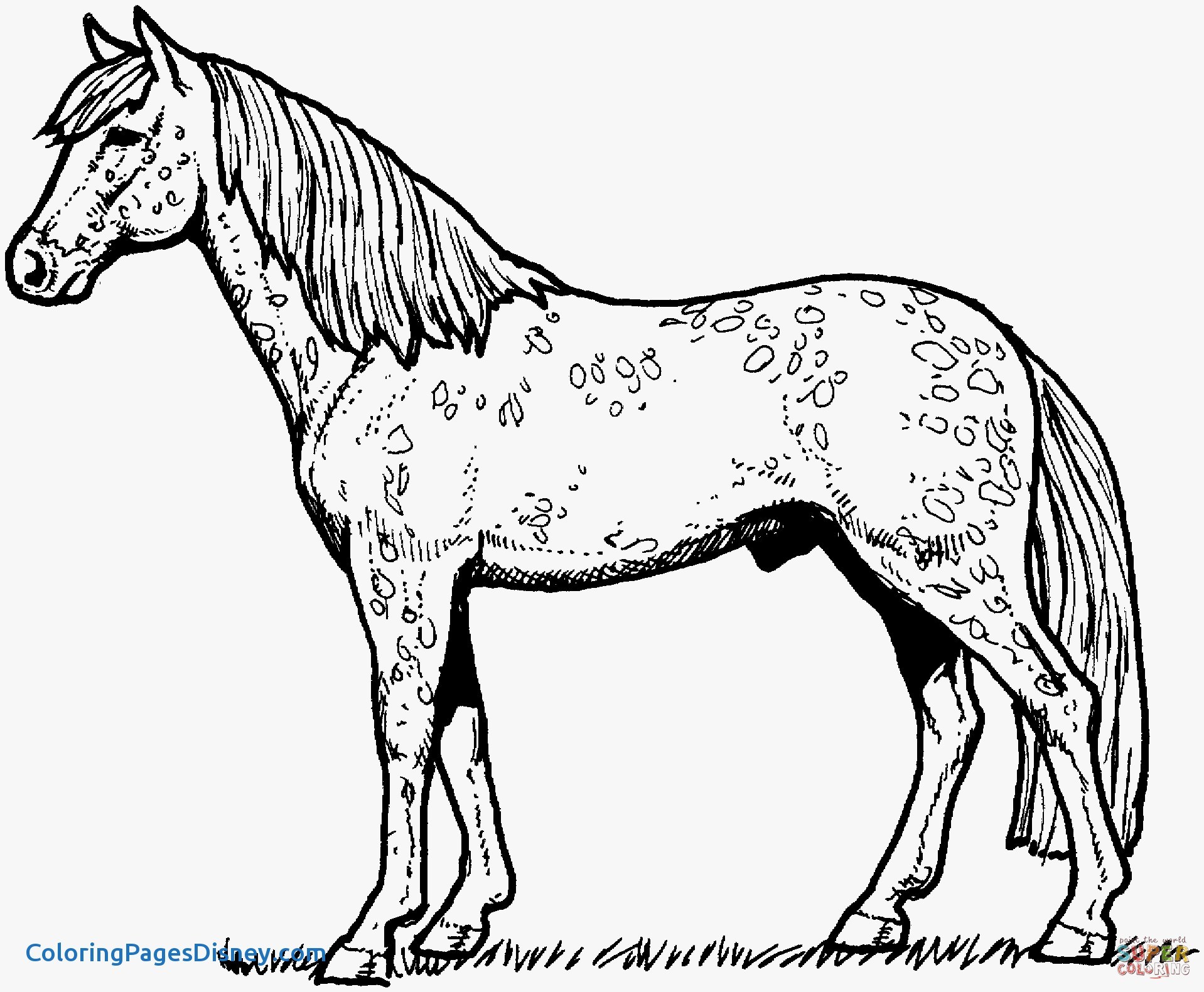 1918x1581 Horses Coloring Pages Beautiful Horses Coloring Pages