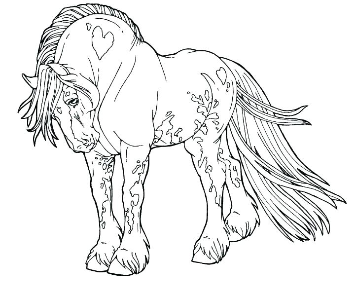 720x598 Two Horses Coloring Pages Two Horses Coloring Page Realistic Horse
