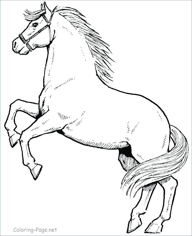 670x820 Beautiful Horse Coloring Pages