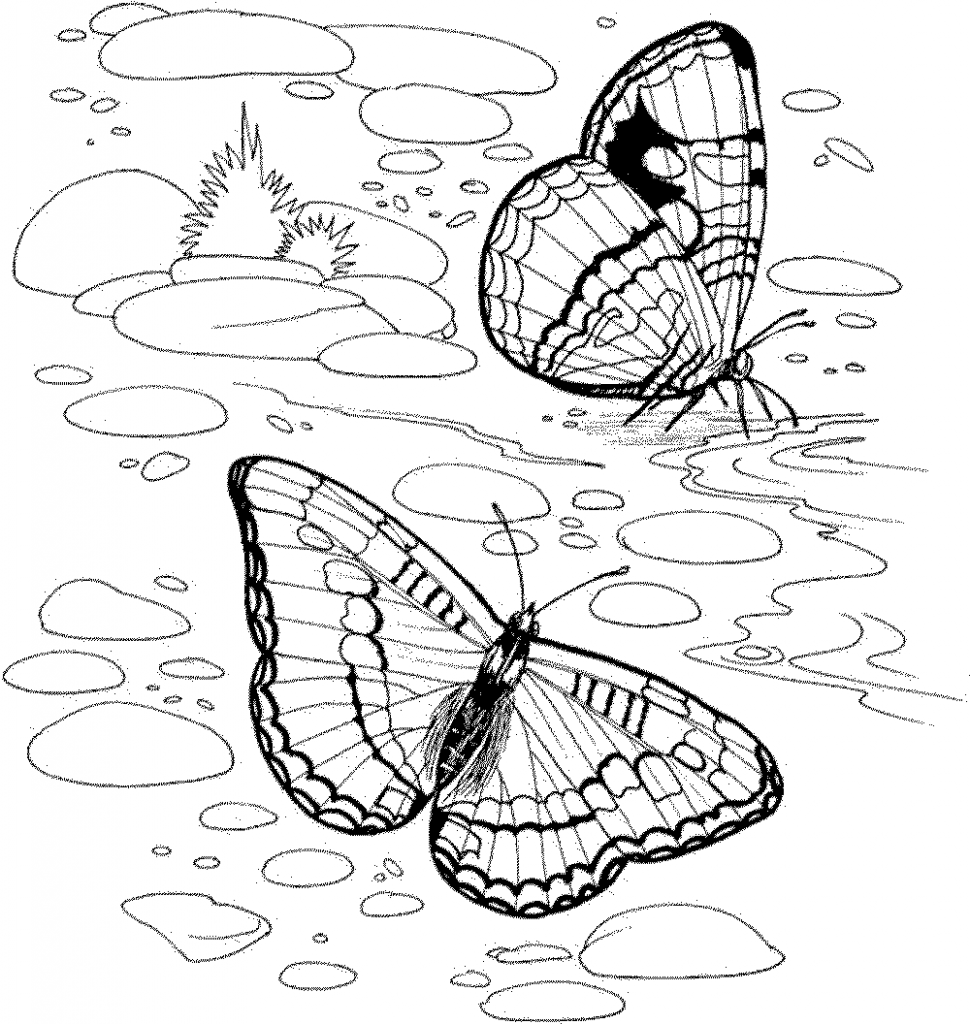 970x1024 Free Printable Nature In Spring Coloring Pages Kids Beautiful