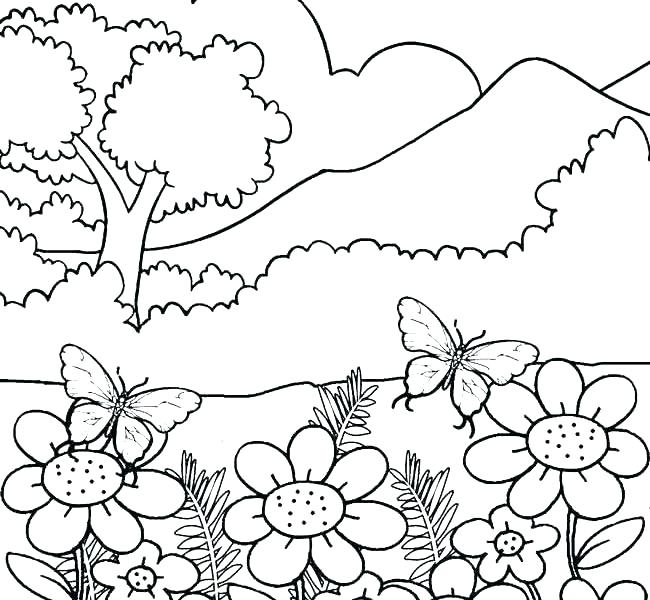 650x600 Nature Coloring Pages Nature Coloring Page Free Coloring Pages