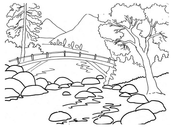 600x452 Nature Colouring Pictures Beautiful River Bank Landscape Of Nature