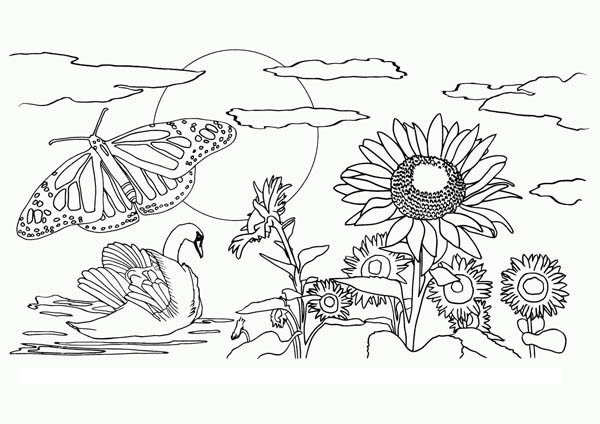 600x424 Beautiful View Of Nature Coloring Page Color Luna