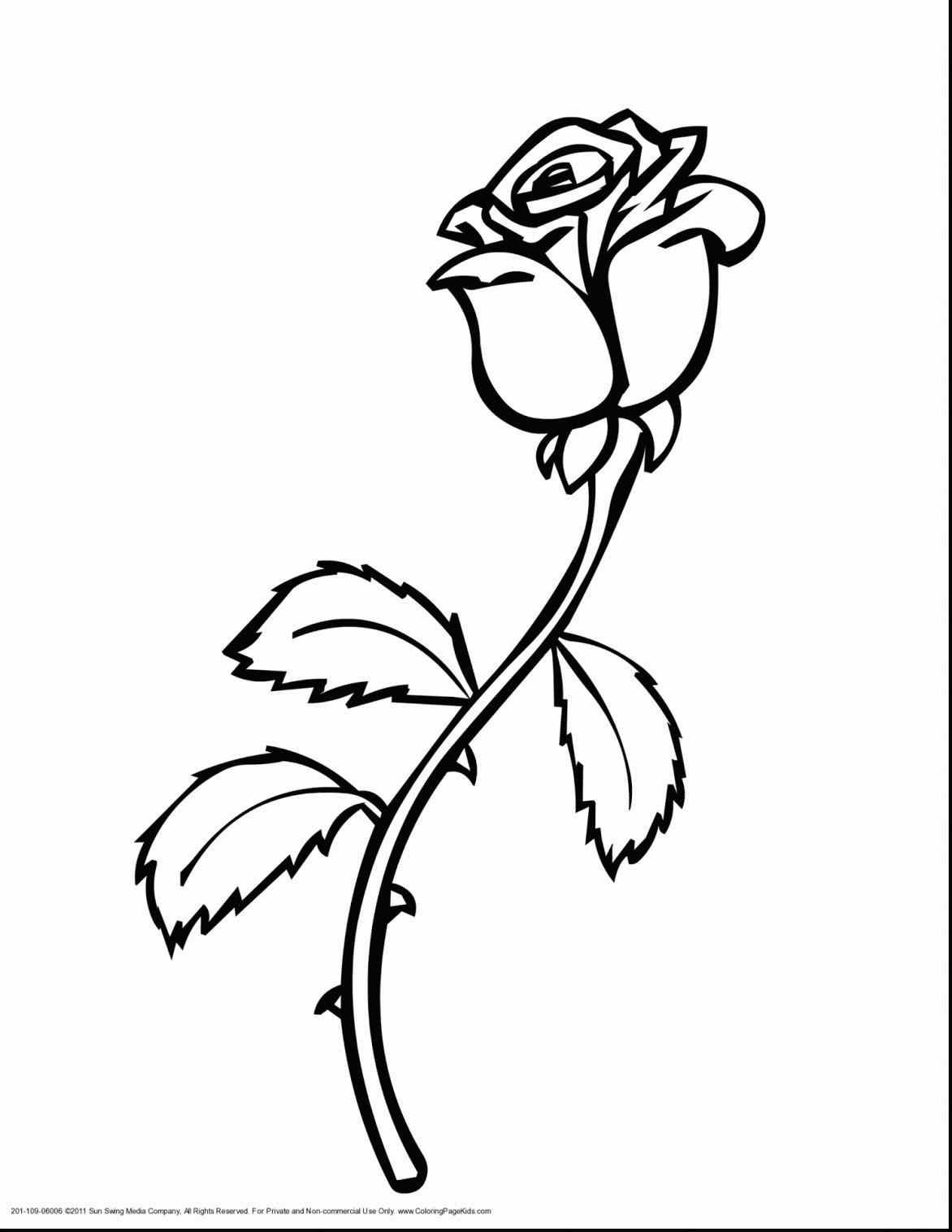 1172x1517 Beast Rose Coloring Pages Beautiful Drawing Printable Disney