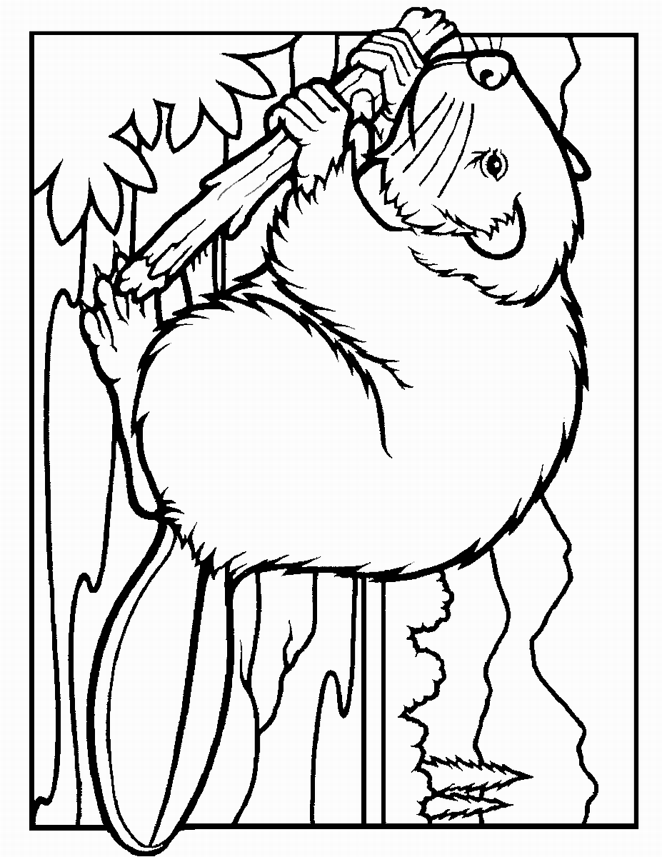 927x1200 Beaver Coloring Pages