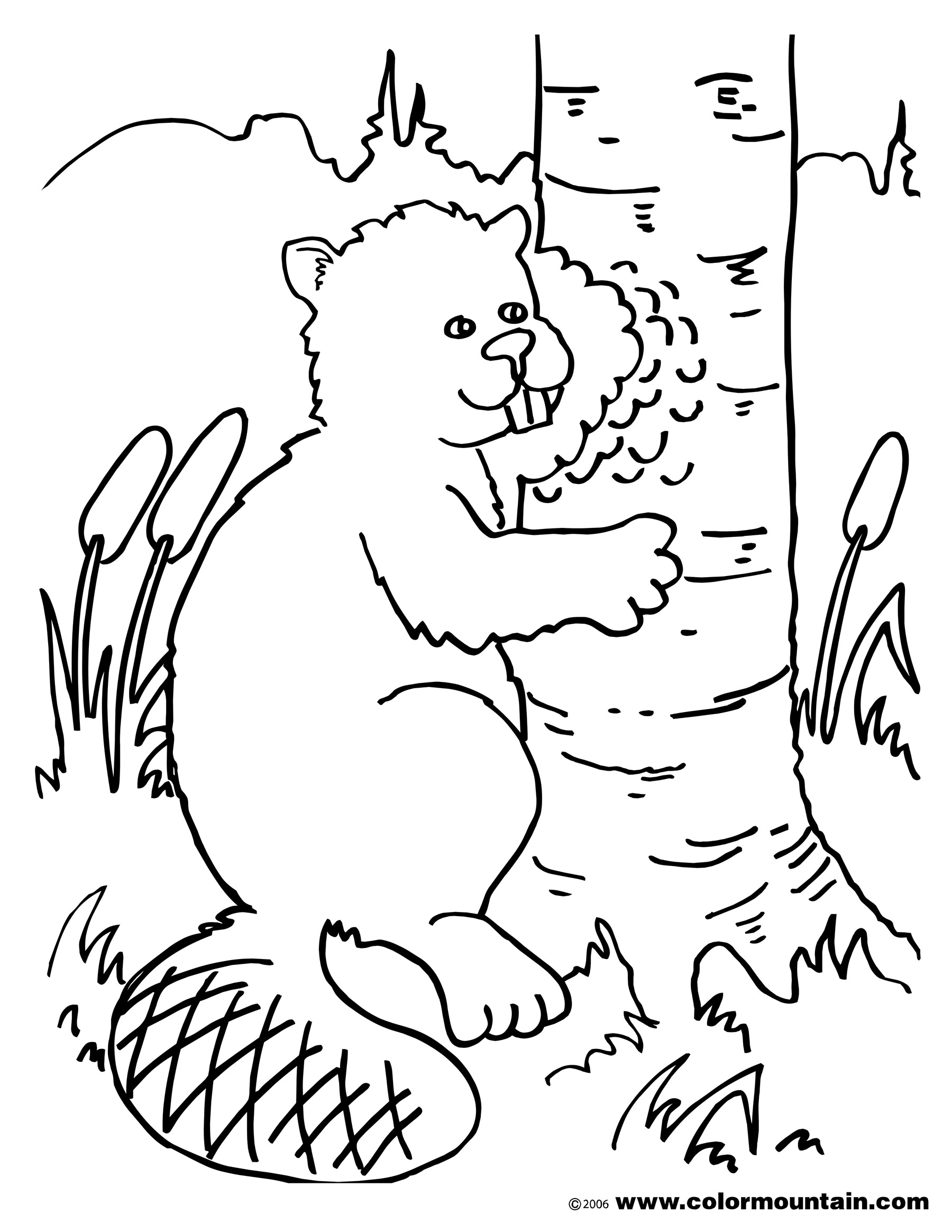 1800x2329 Chewing Beaver Coloring Picture