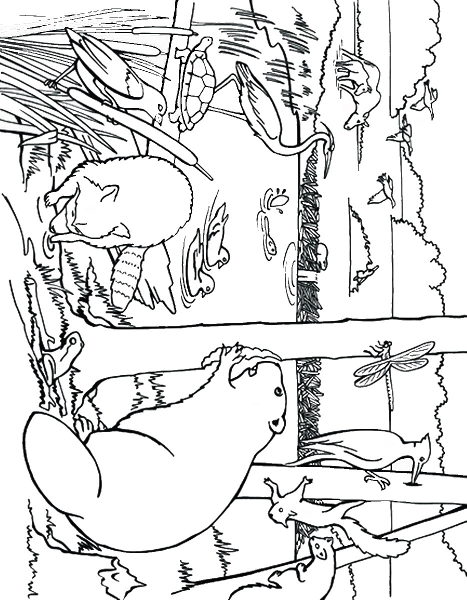 934x1200 Beaver Coloring Pages