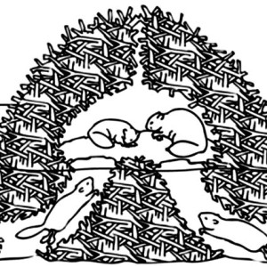 300x300 Brave Beaver Warrior Coloring Page Coloring Sun
