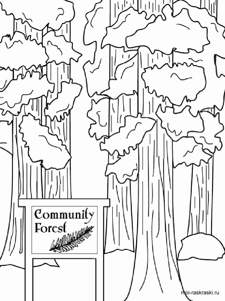 750x1000 Tree Bark Coloring Pages Image Because Winn Dixie