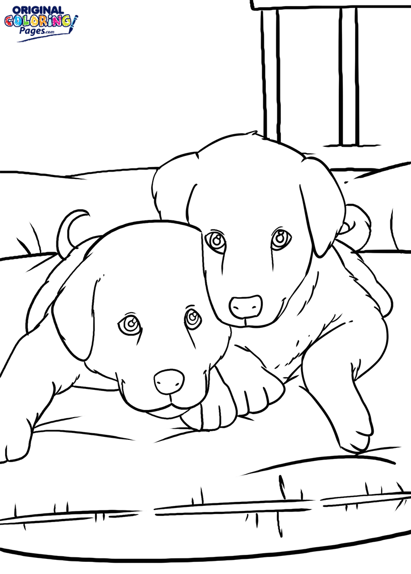 815x1138 Two Puppies On A Bed Coloring Page Coloring Pages Original