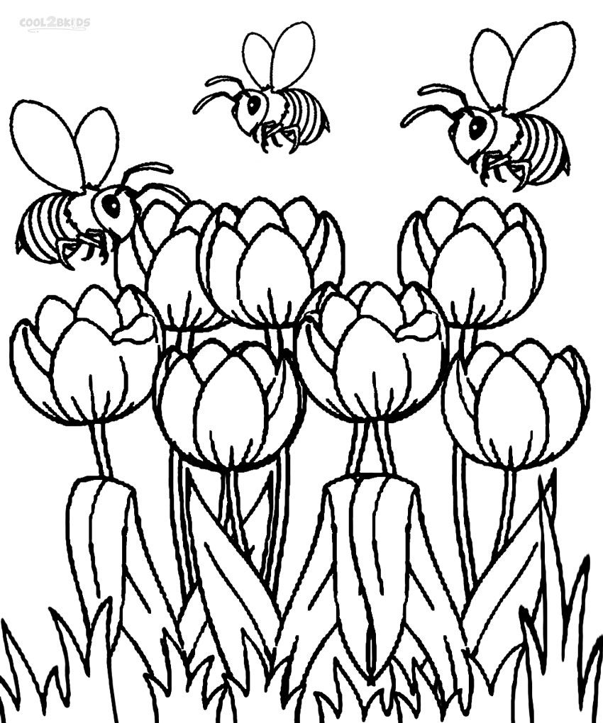 850x1020 Best Coloring Pages Of And For Bee Flower Trend Inspiration Bee