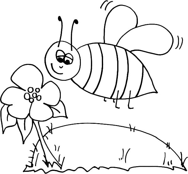 Bee And Flower Coloring Pages at GetDrawings | Free download