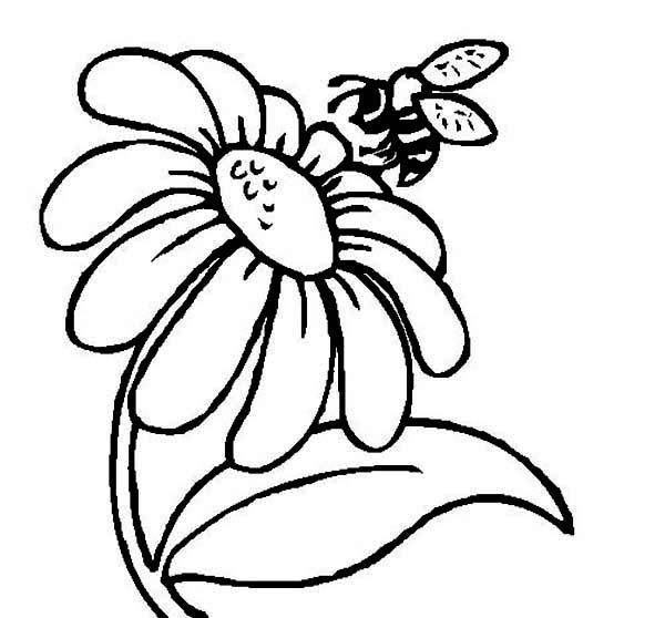 600x558 Mr Bee And A Daisy Flower Coloring Page
