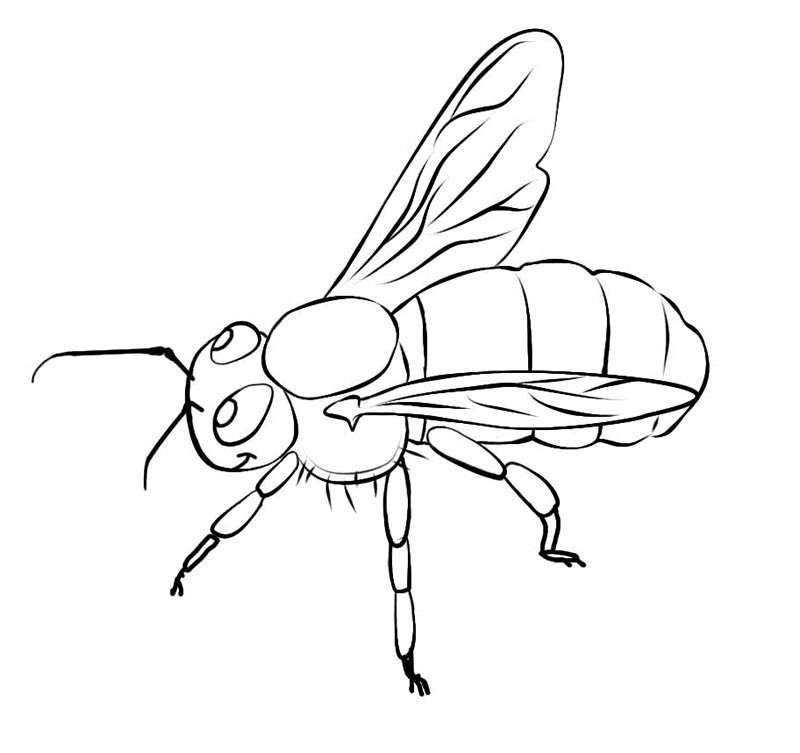800x753 Free Printable Bee Coloring Pages For Kids