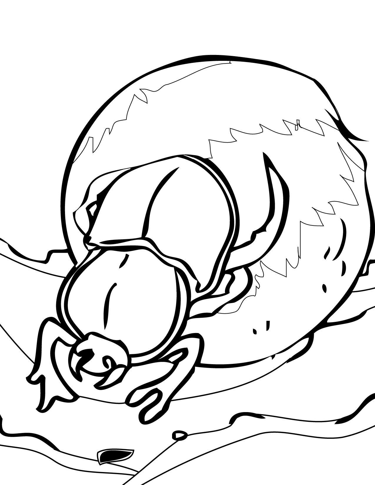 1275x1650 Dung Beetles Coloring Page