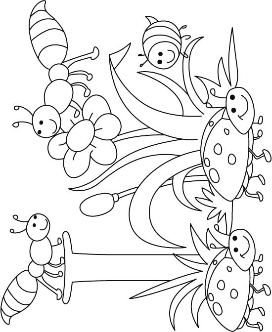 550x672 Insects Coloring Pages I For Insect Coloring Page For Kids Free