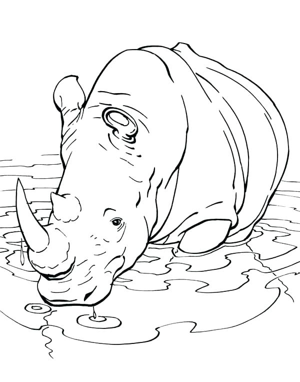 600x763 Rhino Beetle Coloring Pages Rhinoceros Coloring Page Rhinoceros