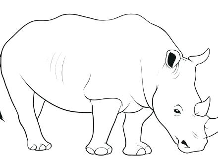 440x330 Rhinoceros Coloring Page Rhinoceros Coloring Pages To Print