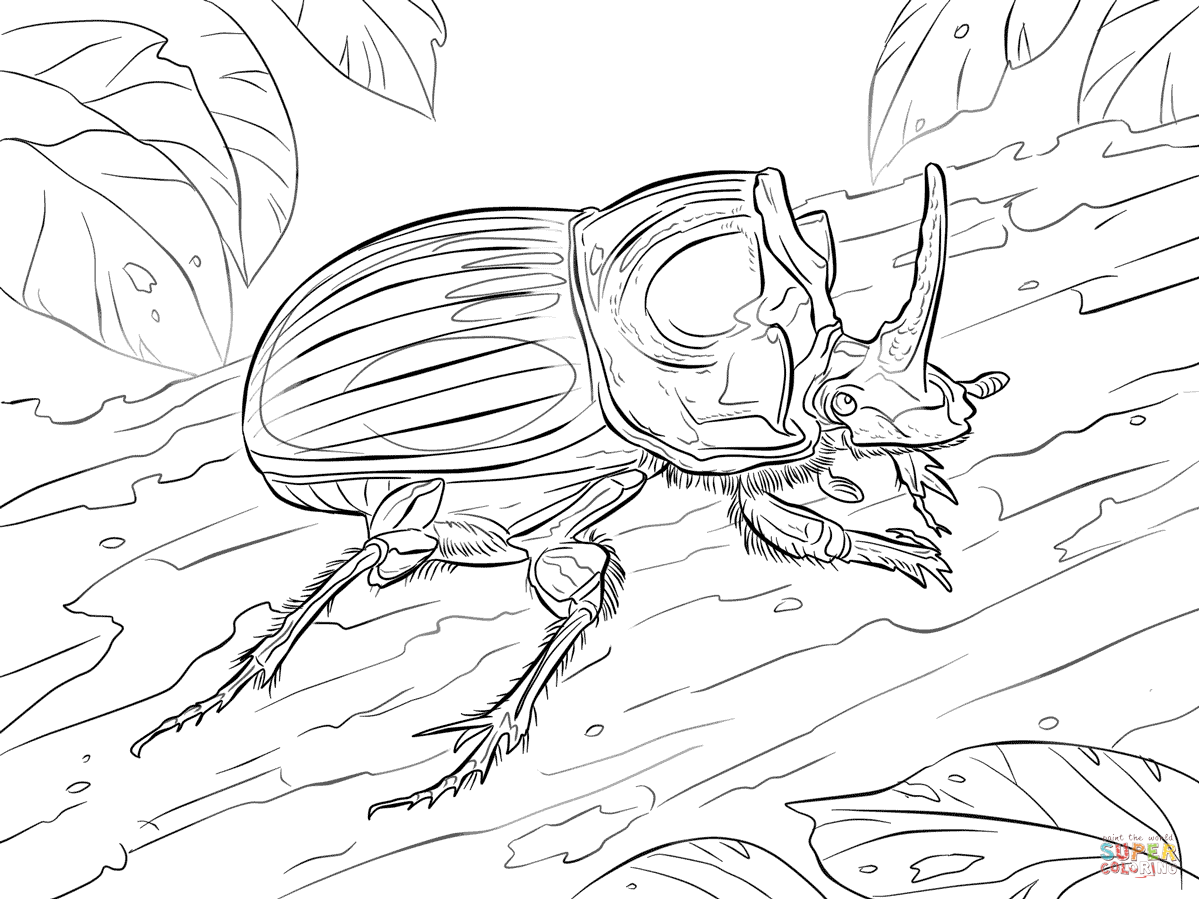 1199x899 Beetle Coloring Pages Printable