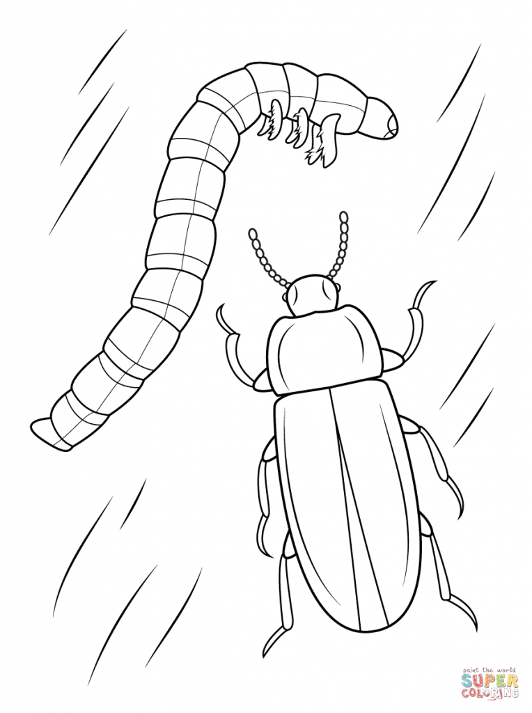 764x1024 Coloring For Kids Lady Beetle Colouring Pages Insects To Print Out