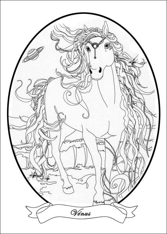 567x794 Bella Sara Coloring Pages Adult