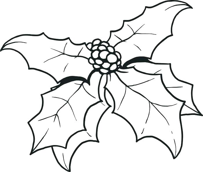 700x594 Ben And Holly Printable Colouring Pages And Holly Coloring Pages