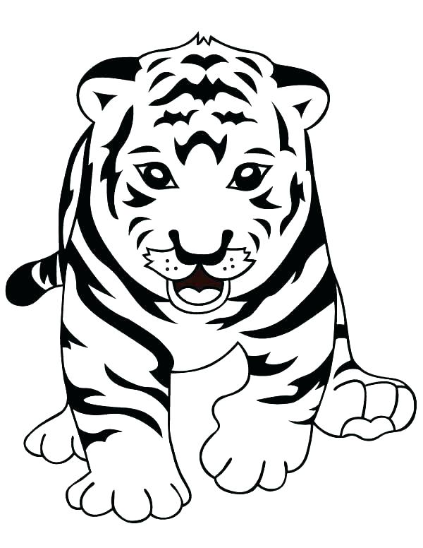 600x776 Coloring Pages Of A Tiger Coloring Pages Tiger Shark