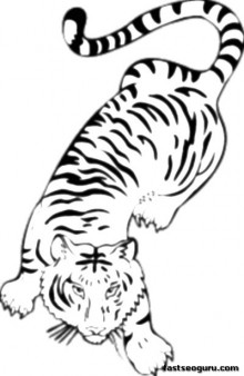 220x338 Printable Jungle Bengal Tiger Coloring Pages For Kids