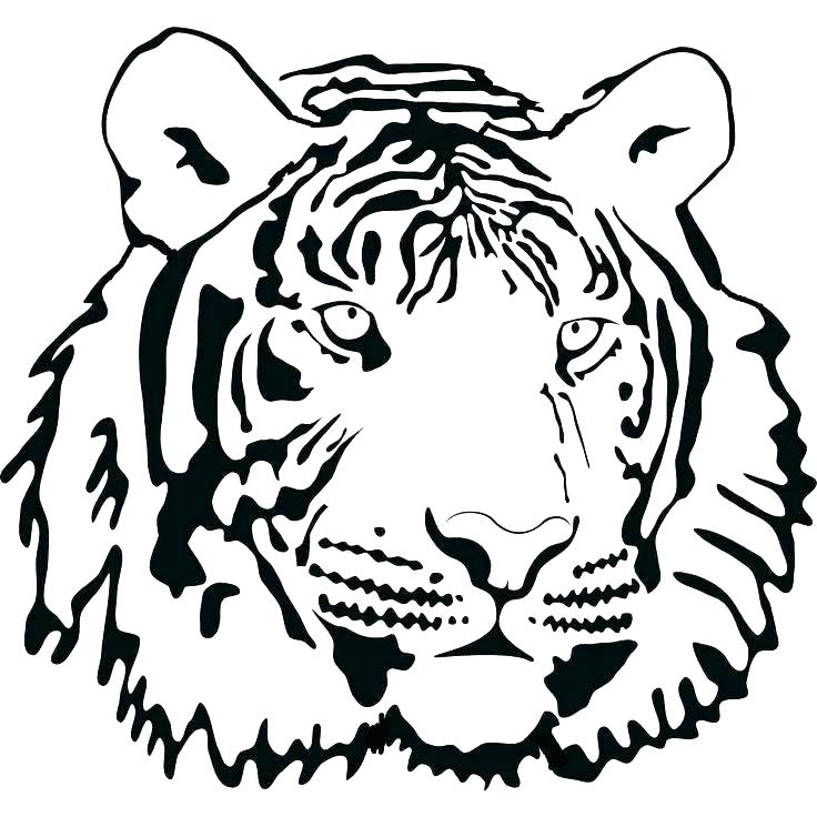 736x736 Coloring Pages Of Tiger
