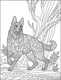 236x310 Free Printable Bernese Mountain Dog Coloring Page Available