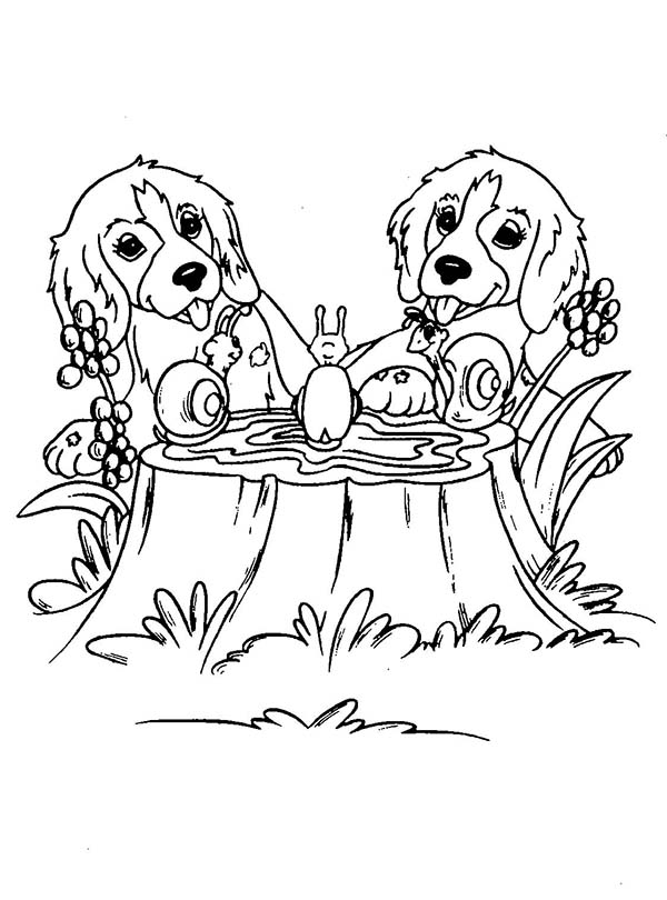 600x810 Twin Dog Playing With Snails Coloring Page Color Luna